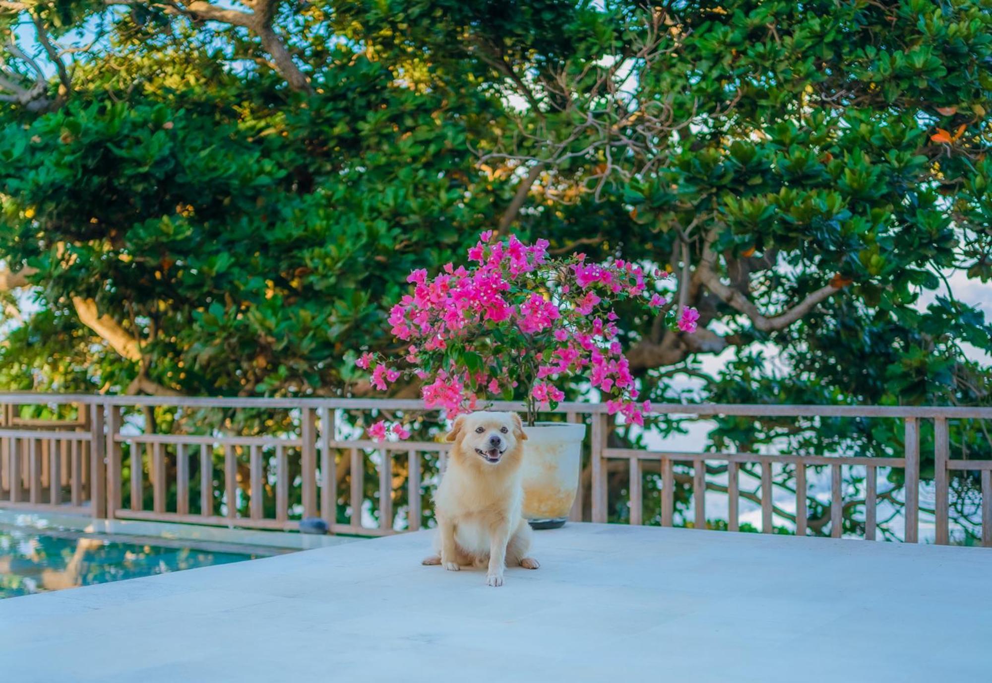 Raaga Samudra Villa Padangbai  Ngoại thất bức ảnh